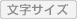 文字サイズ